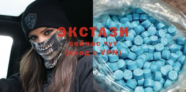 гидра Абаза