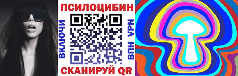 сколько стоит  Арамиль  Псилоцибиновые грибы GOLDEN TEACHER 